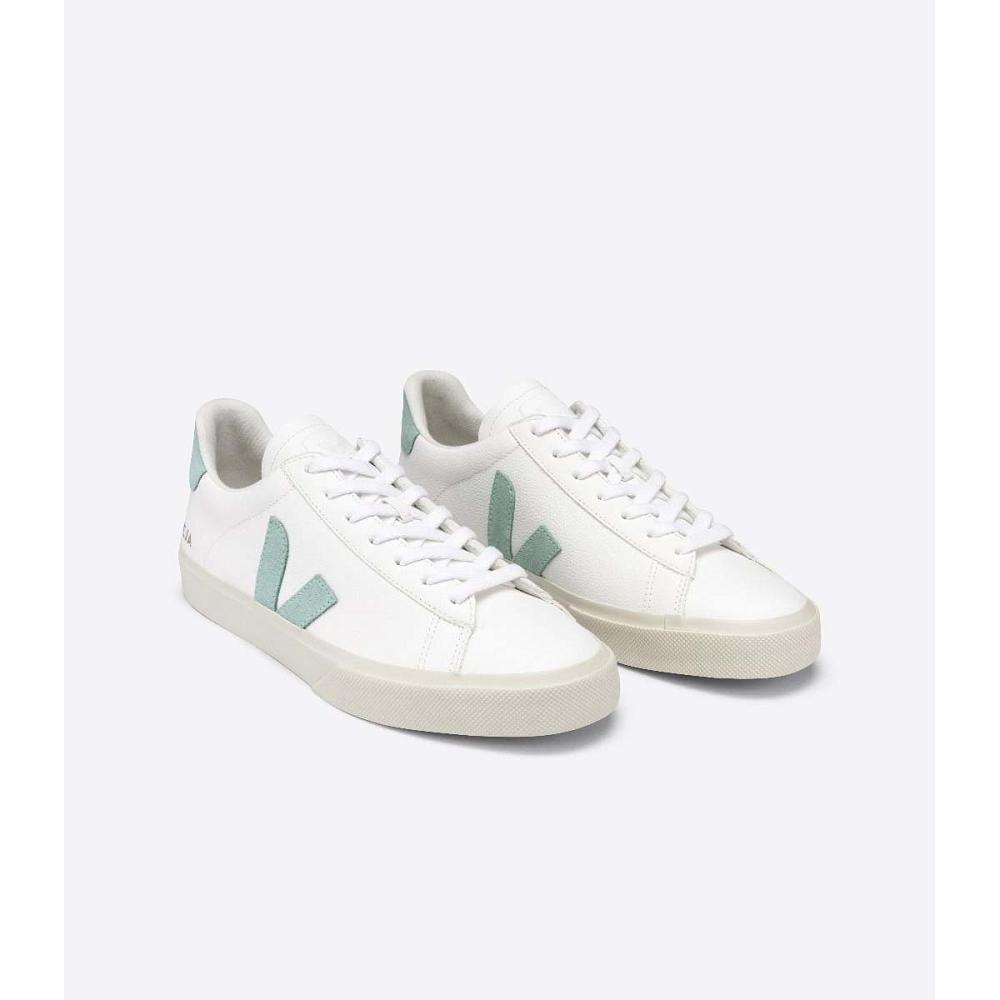 Veja CAMPO CHROMEFREE Men's Low Tops Sneakers White/Mint | NZ 295RVD